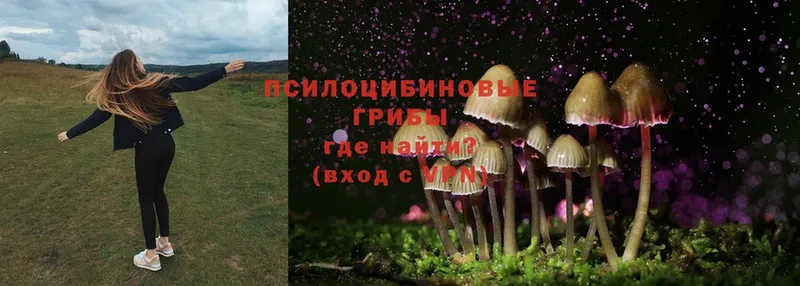 Галлюциногенные грибы MAGIC MUSHROOMS  цена наркотик  Неман 